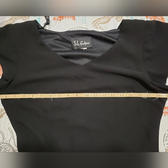 SL Fashions embroidered sheath - Picture 7 of 7